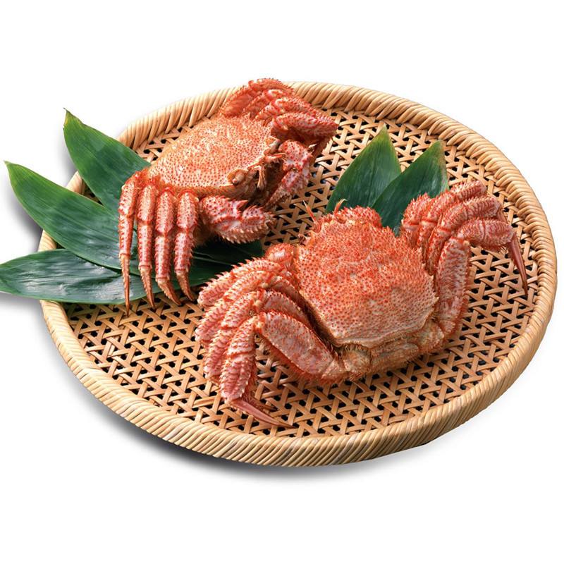海鲜冷链|康易达海鲜冷链物流
